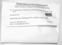 Image Associated With the Occurence